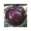 Ciruelo EBONY® 88
