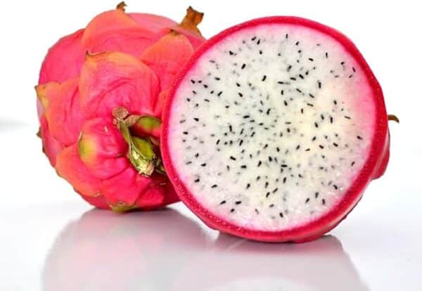 Esqueje de Pitaya, Fruta del Dragón, Pitahaya de Viveros la Berrocosa Alt Aprox. 40cm - Imagen 5