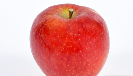 Manzano DALICLASS C.O.V. - Imagen 2