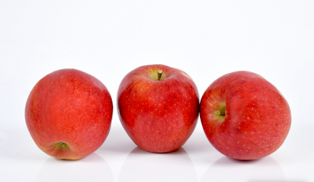 Manzano DALICLASS C.O.V.