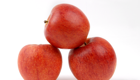 Manzano DALICLASS C.O.V. - Imagen 3